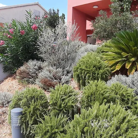 Apartment Apartment, Stedul, Barbat 422a, Rab *